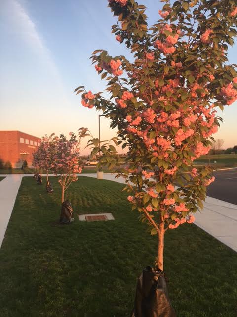 Outdoor at LJHS on 4/18/17